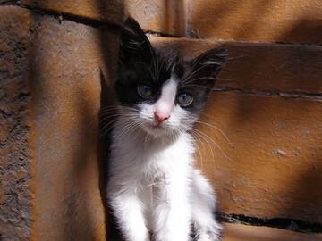 Foto publica di vr88